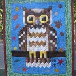 Owl Clp190662 Quilt Blanket and Home Decor