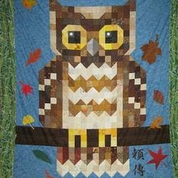 Owl Clt260644 Quilt Blanket and Home Decor