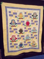 Owl Hur Quilt jv and Home Decor