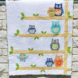 Owl Quilt Tdhrf and Home Decor