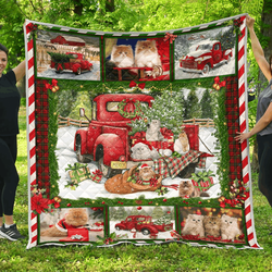 Persian Cat Red Truck Christmas Quilt Tdhpe and Home Decor