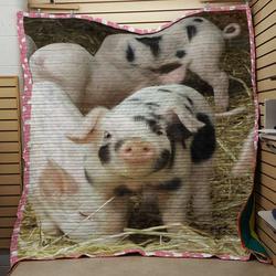 Pig Quilt Tdhch and Home Decor