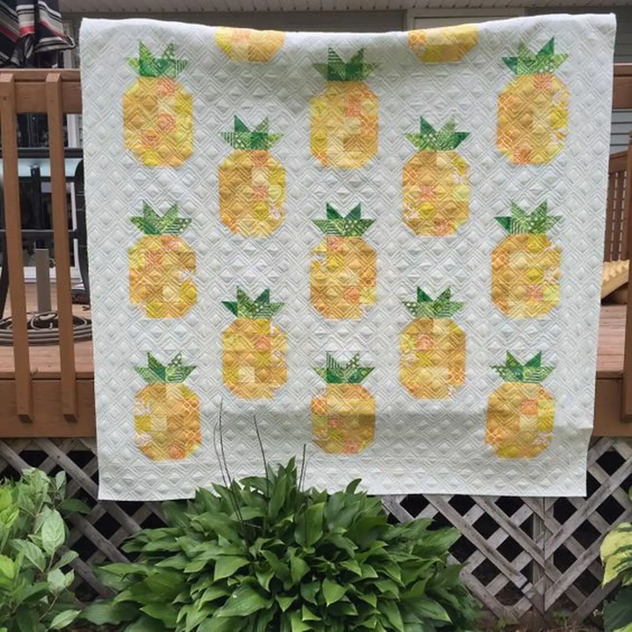 Pineapple Cla1110414Q Quilt Blanket and Home Decor