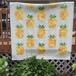 Pineapple Cla1110414Q Quilt Blanket and Home Decor