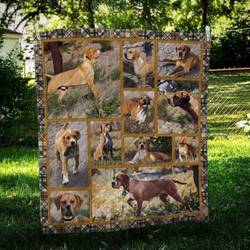 Portuguese Pointer Cute Quilt Blanket Dhc09122013Dd and Home Decor