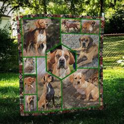 Portuguese Pointer Vintage Quilt Blanket Dhc09122014Dd and Home Decor