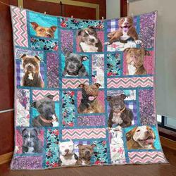 Pretty Pittes Quilt -V0508-4  Quilt and Home Decor