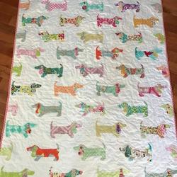 Puppies On Parade Clp020737 Quilt Blanket and Home Decor