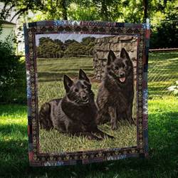 Schipperke Friend Quilt Blanket Dhc09122045Dd and Home Decor