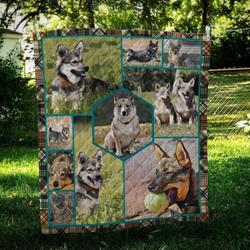 Swedish Vallhund Ball Cl10100241Mdq Quilt Blanket and Home Decor