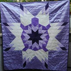 Turtle Star Cla1510476Q Quilt Blanket and Home Decor