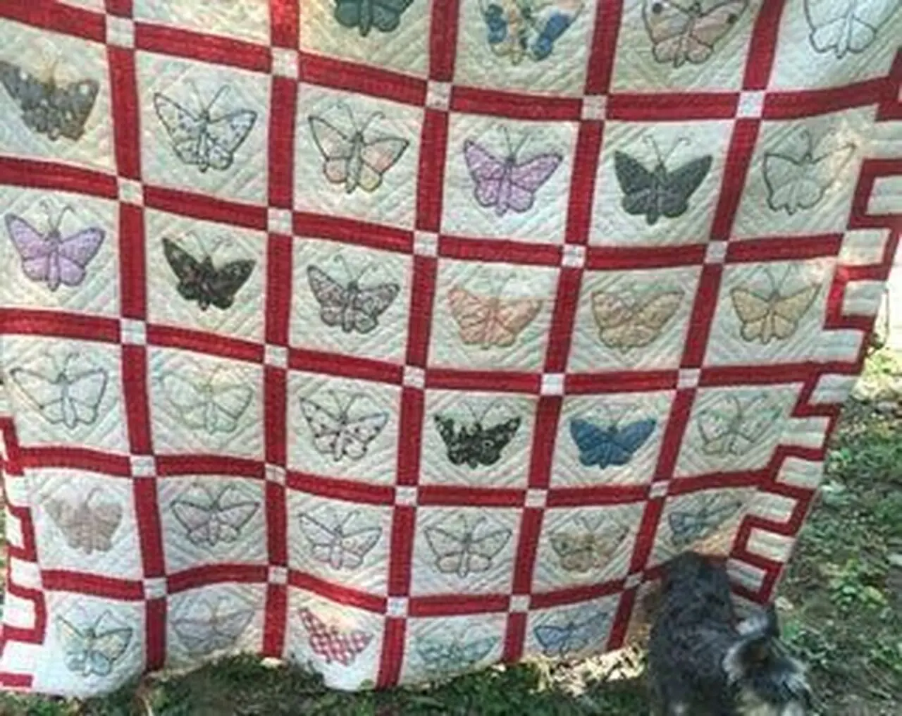 Vintage Butterfly Hur Quilt Cysizn and Home Decor