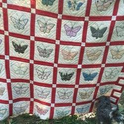 Vintage Butterfly Hur Quilt Cysizn and Home Decor