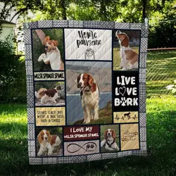 Welsh Springer Spaniel Pawsome Quilt Blanket Dhc09121992Dd and Home Decor