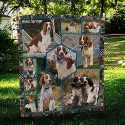 Welsh Springer Spaniel Vintage Quilt Blanket Dhc09121995Dd and Home Decor
