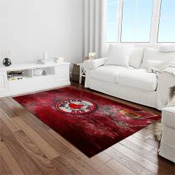 MLB Boston Red Sox Baseball Team Logo Rectangle Area Rug BRS05