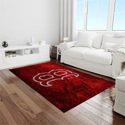 MLB Boston Red Sox Baseball Team Logo Rectangle Area Rug BRS12