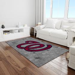 MLB Washington Nationals Baseball Team Logo Rectangle Area Rug WN47