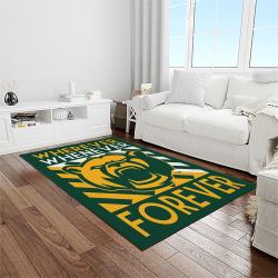 NCAA Baylor Bears Sport Basketball And Foolball Team Logo Rectangle Area Rug BB10