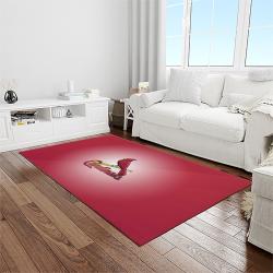 NCAA Louisville Cardinals College Sport Basketball And Foolball Team Logo Rectangle Area Rug LICS54