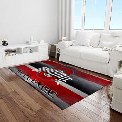 NCAA Ohio State Buckeyes College Sport Basketball And Foolball Team Logo Rectangle Area Rug OSB31