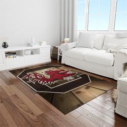 NCAA South Carolina Gamecocks College Sport Basketball And Foolball Team Logo Rectangle Area Rug SCG01