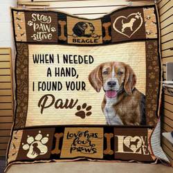 Beagle Dog Quilt Blanket ABC07111855 and Home Decor
