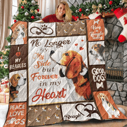 Beagle IMH So Much Love 3D Customized Quilt and Home Decor