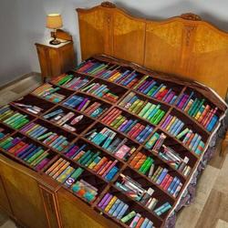 Book And Life JY83 3D Customized Quilt and Home Decor