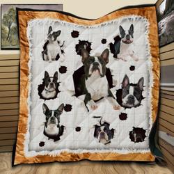 Botston Terrier Funny JM1 NTTH011298 3D Customized Quilt and Home Decor