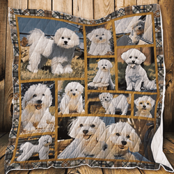 Boxer Colorful Boxer U Quilt Lc and Home Decor