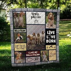 Bracco Italiano Pawsome Cl09100068Mdq Quilt Blanket and Home Decor