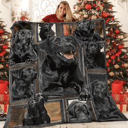 Bulldog Talk To The Paw Dog U Quilt Vm and Home Decor