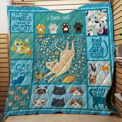 Cat Lover Quilt Pow and Home Decor