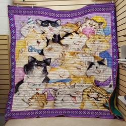 Cat Smile Quilt and Home Decor