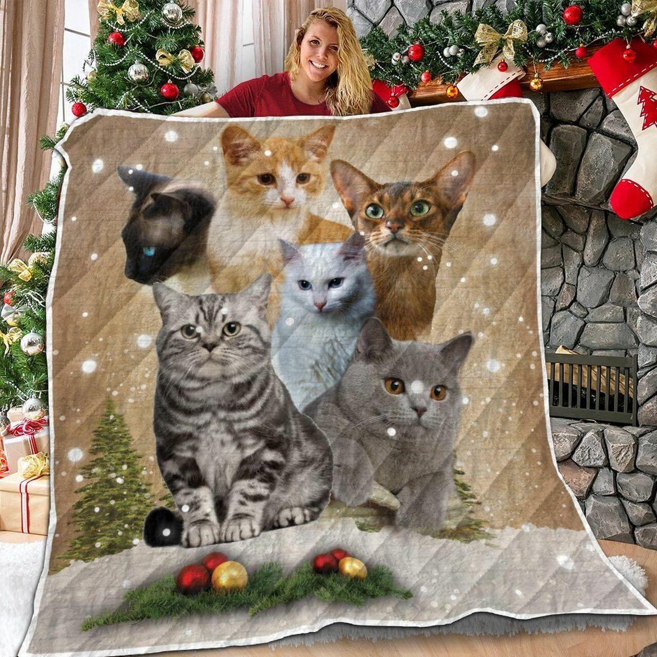 Cat Xmas Vintage V1 3D Customized Quilt and Home Decor