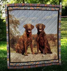 Chesapeake Bay Retriever Cl10100090Mdq Quilt Blanket and Home Decor