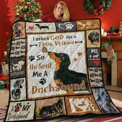 Dachshund Friend Together 3D Customized Quilt and Home Decor