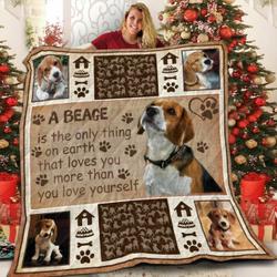 Dachshund I Am A Fool U Quilt Pn and Home Decor