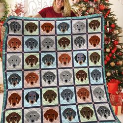 Dachshunds Family Dachshund Doxie Wiener Dog Lovers CL291220308MI Quilt Blanket and Home Decor