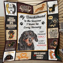 Dachshunds Lovely Dachshund Doxie Wiener Dog Lovers CL150121013AT Quilt Blanket and Home Decor