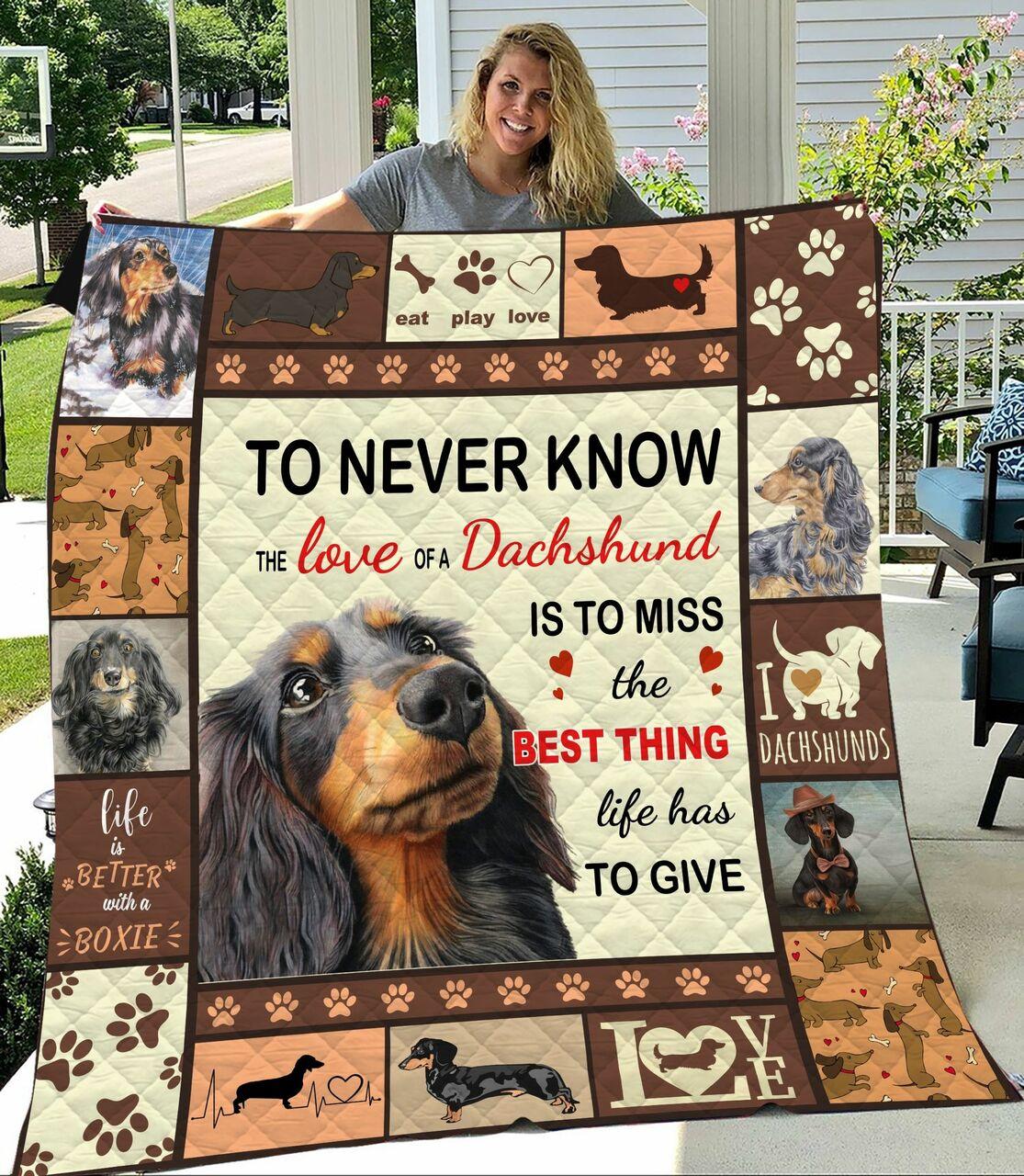 Dachshunds The Love Of A Dachshund Dachshund Doxie Wiener Dog Lovers CL291220099MI Quilt Blanket and Home Decor