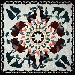 Deer Bison Cla1510100Q Quilt Blanket and Home Decor
