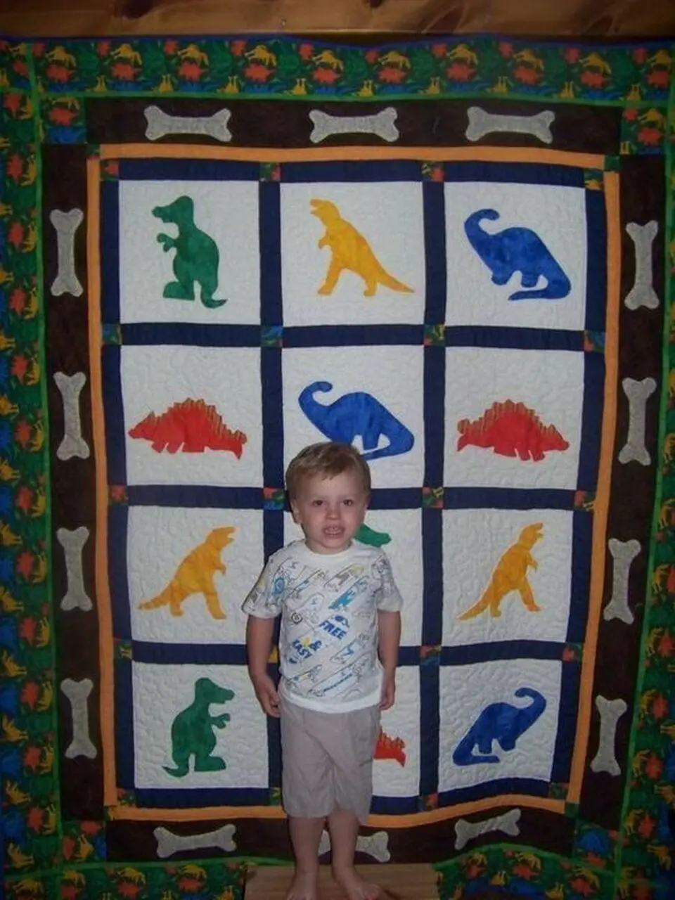 Dinosaur Hur Quilt ca and Home Decor