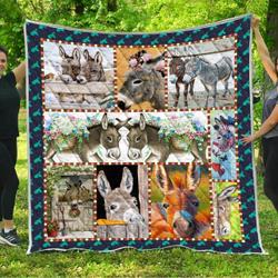 Donkey Honey 3D Customized Quilt and Home Decor