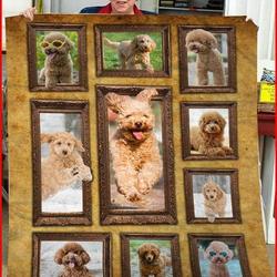 Donkey Sunny Side Up U Quilt Ro and Home Decor