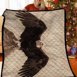 Eagle Quilt Lkn and Home Decor