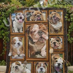 Fox Fox But So Cute U Quilt Sl and Home Decor