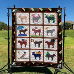 Fun Dog 02 DHCLD0909 Quilt Blanket and Home Decor