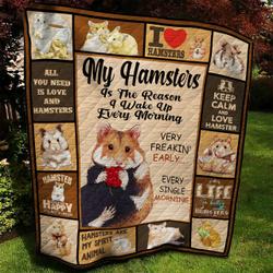 Hamster Quilt Blanket Bbb090617Ht and Home Decor